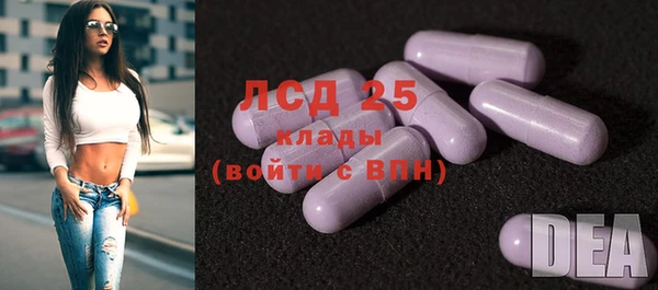 ГАЛЛЮЦИНОГЕННЫЕ ГРИБЫ Алексеевка