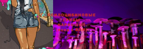 ГАЛЛЮЦИНОГЕННЫЕ ГРИБЫ Алексеевка