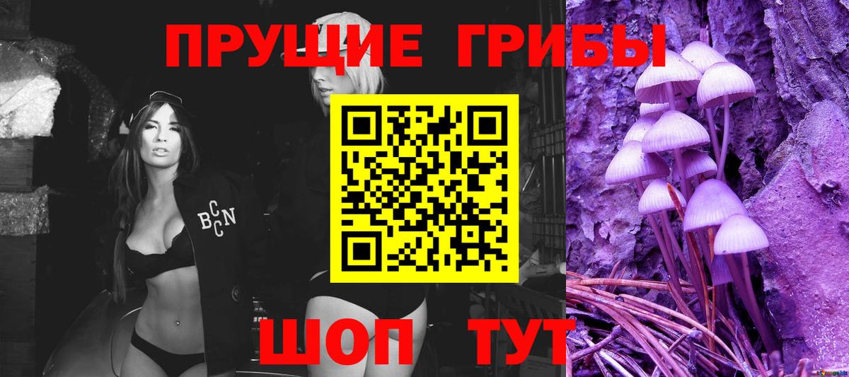 что такое наркотик  Вход с VPN  Осинники  Галлюциногенные грибы Cubensis 