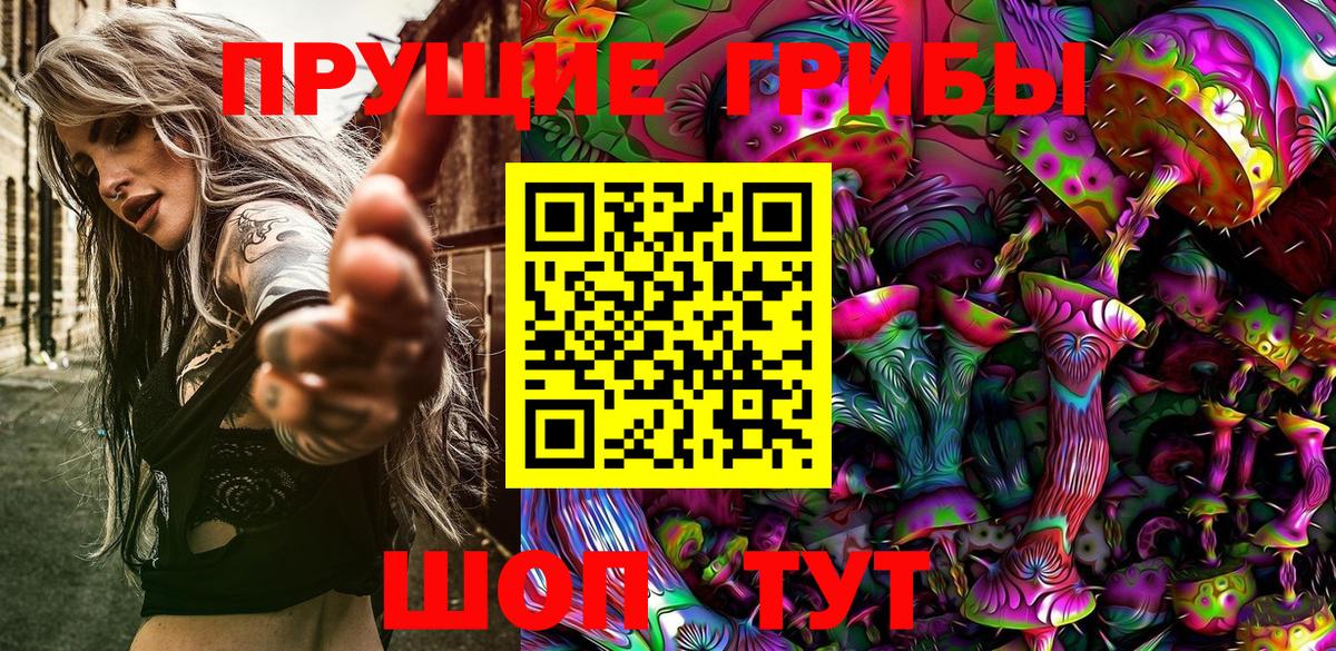 Псилоцибиновые грибы Psilocybe Осинники